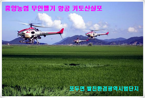 우렁이 살포 및 논토양시료를 채취하여 토양중금속검사 의뢰